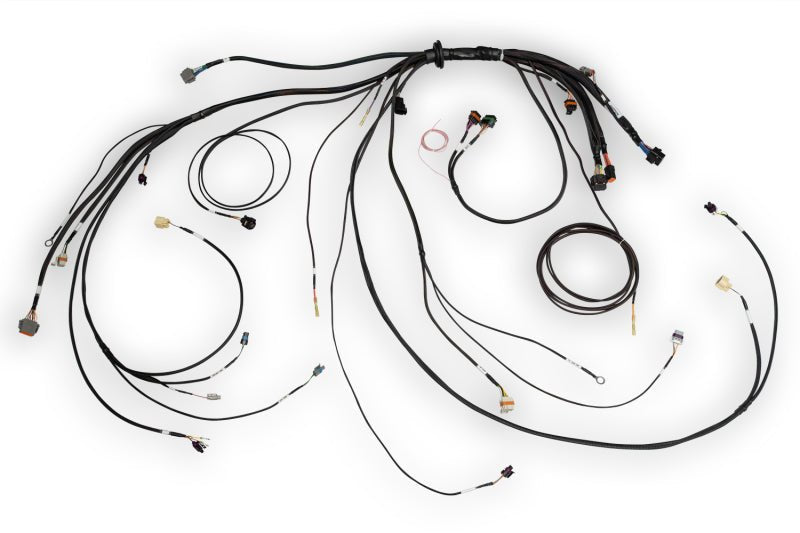 Haltech - Haltech NEXUS Rebel LS Terminated Harness for ECU - Demon Performance