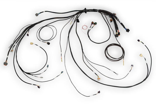 Haltech - Haltech NEXUS Rebel LS Terminated Harness for ECU - Demon Performance