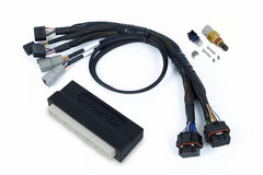 Haltech - Haltech NEXUS S2/S3 Plug - n - Play Adapter Harness - Demon Performance