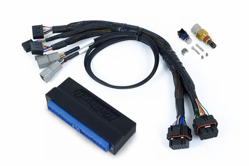 Haltech - Haltech NEXUS S3 Plug-n-Play Adapter Harness - Demon Performance