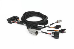 Haltech - Haltech NEXUS Universal Plug - in IO Expansion Harness - 2.5m (8ft) - Demon Performance