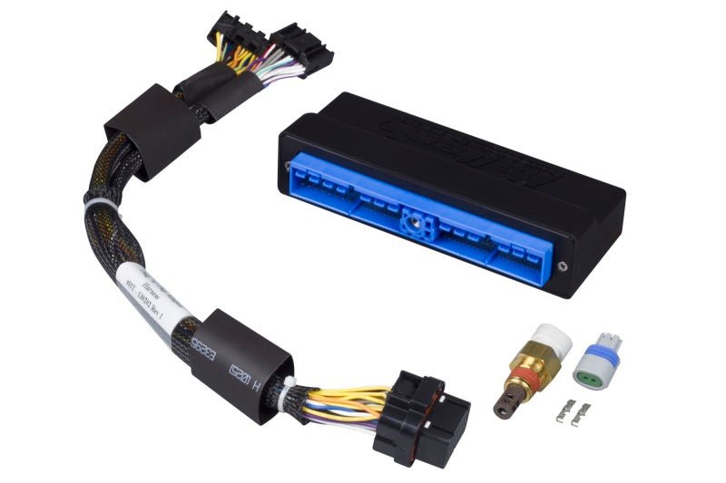 Haltech - Haltech Nissan Patrol/Safari Y60/Y61 (TB45E Only) Elite 750 Plug - n - Play Adaptor Harness - Demon Performance