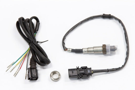 Haltech - Haltech Onboard Wideband Sensor Pack for Elite PRO Plug - in ECUs - Demon Performance