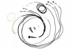 Haltech - Haltech Semi Terminated Harness for IC - 7 Display Dash - Demon Performance