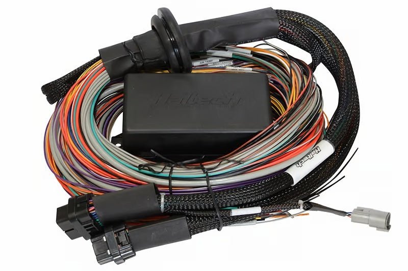 Haltech - Haltech Universal Elite 2500/2500 T Premium Wire - In Harness - Demon Performance