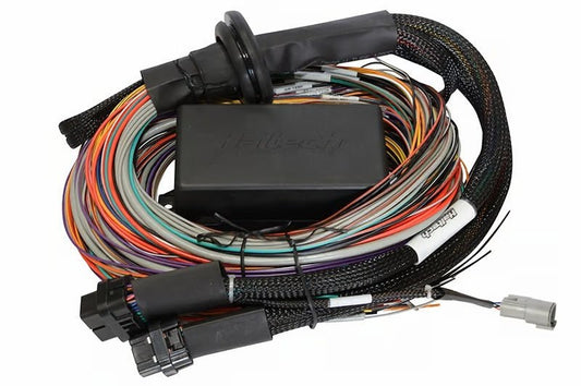 Haltech - Haltech Universal Elite 2500/2500 T Premium Wire - In Harness - Demon Performance