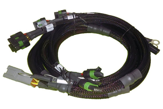 Haltech - Haltech V8 BB/SB GM/Chrysler Hemi V8 8 Channel Individual High Output IGN - 1A Inductive Coil Harness - Demon Performance