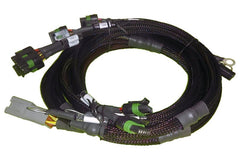 Haltech - Haltech V8 BB/SB GM/Chrysler Hemi V8 8 Channel Individual High Output IGN - 1A Inductive Coil Harness - Demon Performance