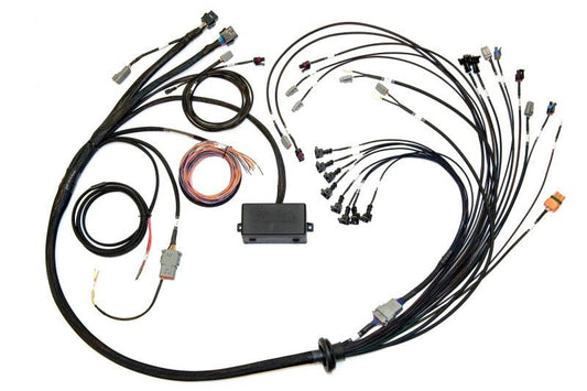 Haltech - Haltech V8 Big/Small Block GM/Ford/Chrysler Elite 2000/2500 Terminated Harness w/EV1 Inj Connectors - Demon Performance