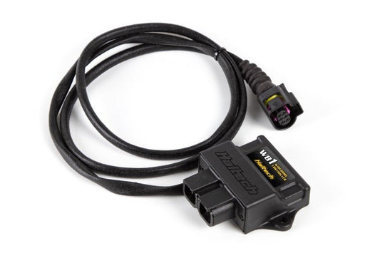Haltech - Haltech WB1 Single Channel CAN O2 Wideband Controller Kit - Demon Performance