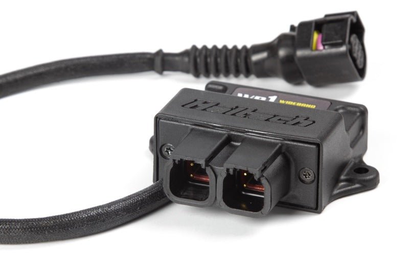 Haltech - Haltech WB1 Single Channel CAN O2 Wideband Controller Kit - Demon Performance