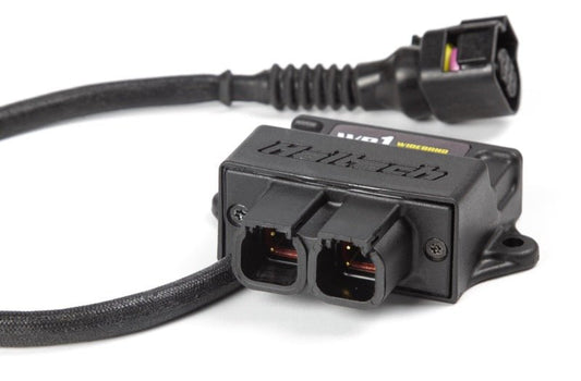 Haltech - Haltech WB1 Single Channel CAN O2 Wideband Controller Kit - Demon Performance