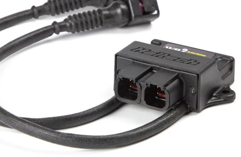 Haltech - Haltech WB2 Dual Channel CAN O2 Wideband Controller Kit - Demon Performance