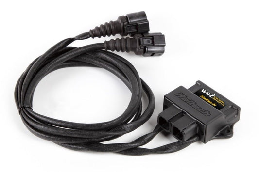 Haltech - Haltech WB2 Dual Channel CAN O2 Wideband Controller Kit - Demon Performance