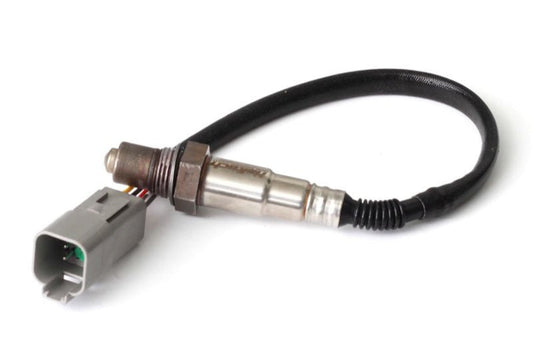 Haltech - Haltech Wideband O2 Sensor (Bosch LSU 4.2) - Demon Performance