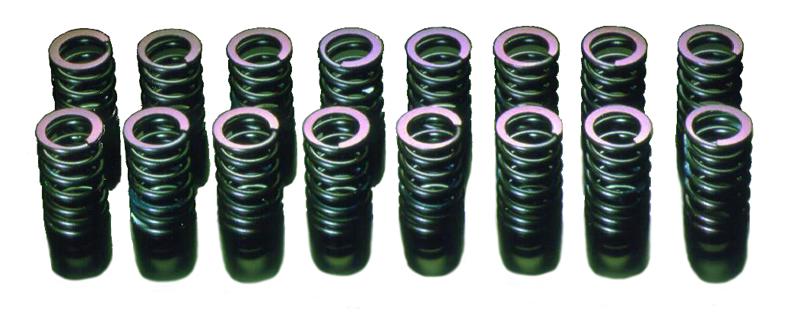 HKS - HKS 91 - 00 Infiniti G20 SR20DET Outer Valve Spring Set - Demon Performance