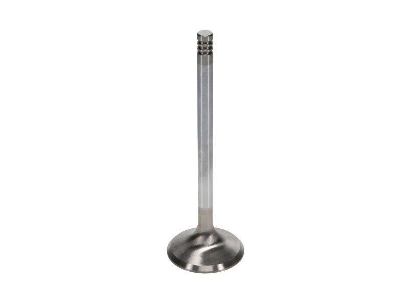 Manley Performance - Manley Chrysler Hemi 6.1L w/ Triple Groove 1.625in Race Master Exhaust Valves (Set of 8) - Demon Performance