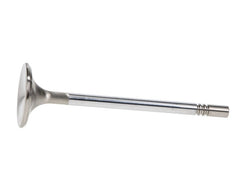 Manley Performance - Manley Ford Racing Cylinder Head 4.6L & 5.4L SOHC 36.0mm Race Master Exhaust Valve (Single) - Demon Performance