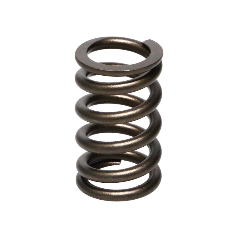 Manley Performance - Manley Nissan (RB26DET) 24pc Valve Springs - Demon Performance