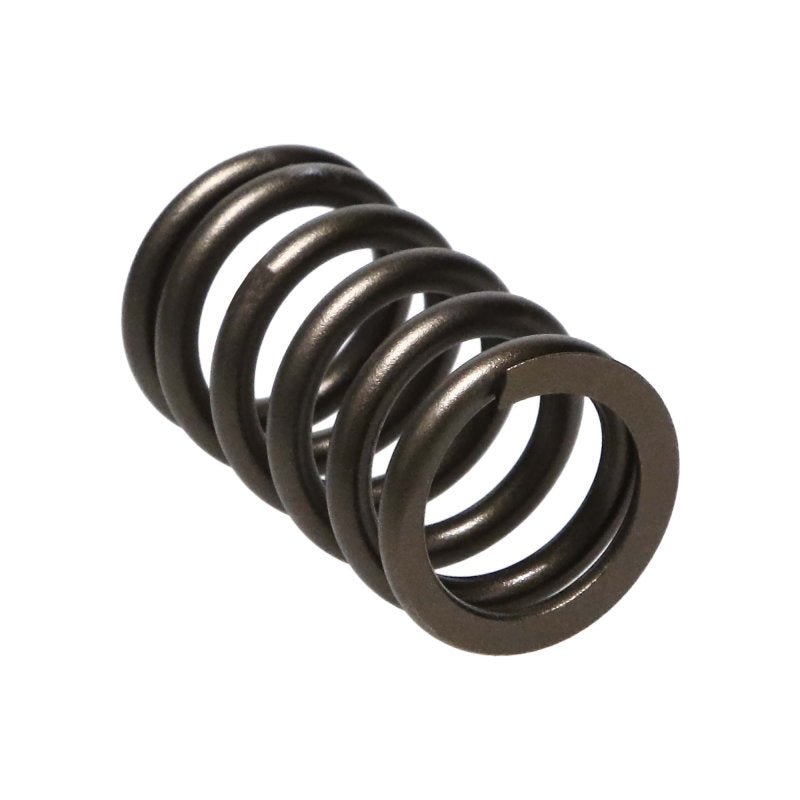 Manley Performance - Manley Nissan (SR20DE SR20DET) 16pc Valve Springs - Demon Performance