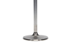 Manley Performance - Manley up to 2010 Dodge Viper V - 10 2.020 Dia Race Master Intake Valves (Set of 10) - Demon Performance