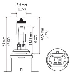 Hella Bulb 880 12V 32W Xen Wht Xb (2)