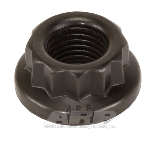 ARP - ARP 9/16in -12 12pt Nut Kit - Demon Performance