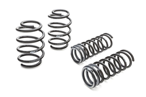 Eibach - Eibach Pro-Kit for 06-09 Dodge Charger 2WD - Demon Performance