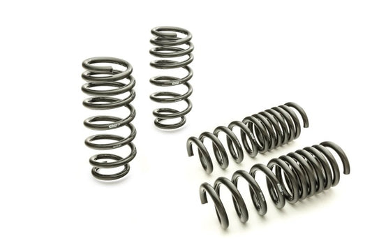 Eibach - Eibach Pro-Kit for 11-12 Dodge Charger 2WD V6 / 2WD V8 (Will Not Effect Vehicle Height On Scat Pack) - Demon Performance