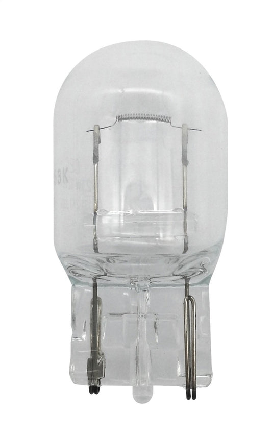 Hella - Hella Bulb 7440 12V 21W W3X16d T6.5 - Demon Performance