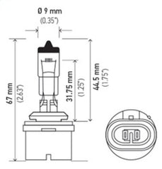 Hella - Hella Bulb 880 12V 27W PG13 T3.25 - Demon Performance
