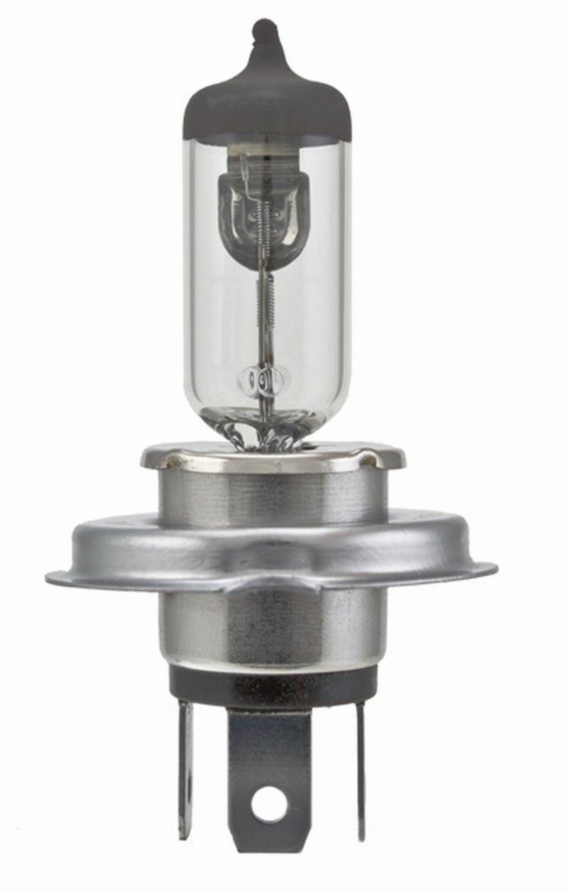 Hella - Hella Bulb 9003/Hb2 12V 60/55W P43T T46 Sb - Demon Performance