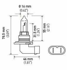 Hella - Hella Bulb 9005 12V 65W P20D T4 +50 (2) - Demon Performance