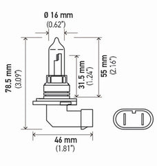 Hella - Hella Bulb 9005/Hb3 12V 65W P20D T4 (2) - Demon Performance