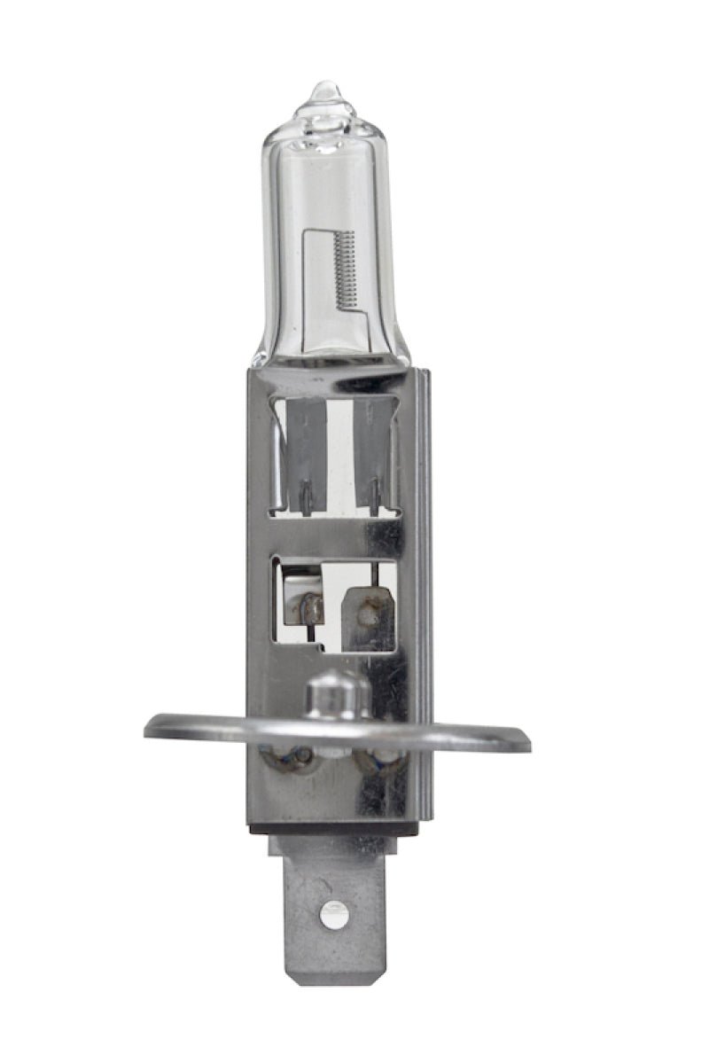 Hella - Hella Bulb H1 12V 55W P145S T25 +50 (2) - Demon Performance