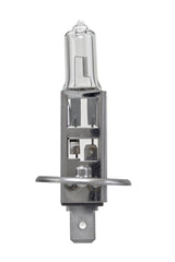 Hella - Hella Bulb H1 12V 55W P145S T25 +50 (2) - Demon Performance