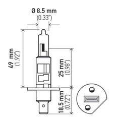Hella - Hella Bulb H1 12V 55W P145S T25 +50 (2) - Demon Performance