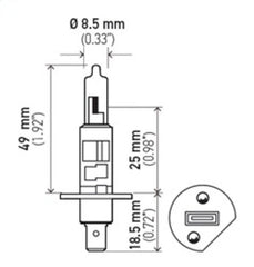 Hella - Hella Bulb H1 12V 55W Xen Wht Xb (2) - Demon Performance