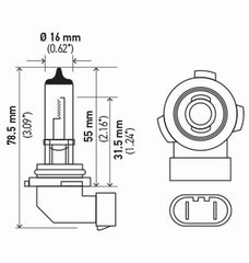 Hella - Hella Bulb H10/9145 12V 45W Py20D T4 Sb - Demon Performance