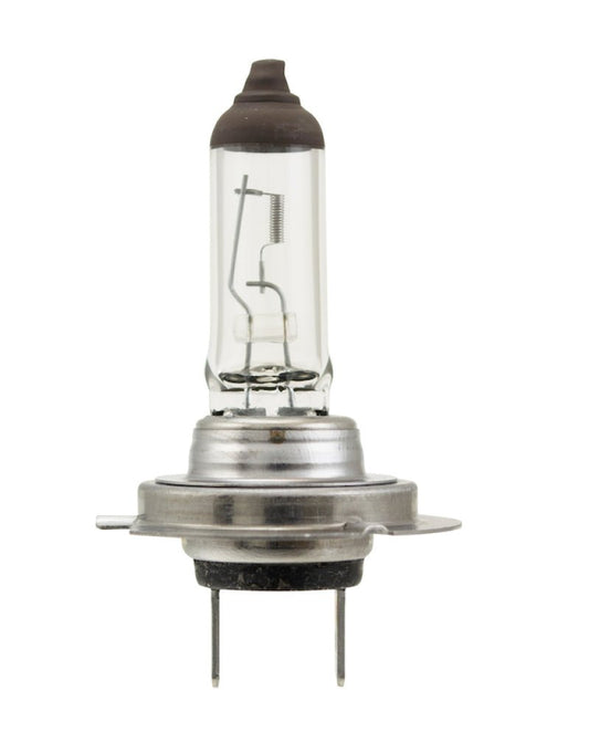 Hella - Hella Bulb H7 12V 70W PX26d T4.625 - Demon Performance