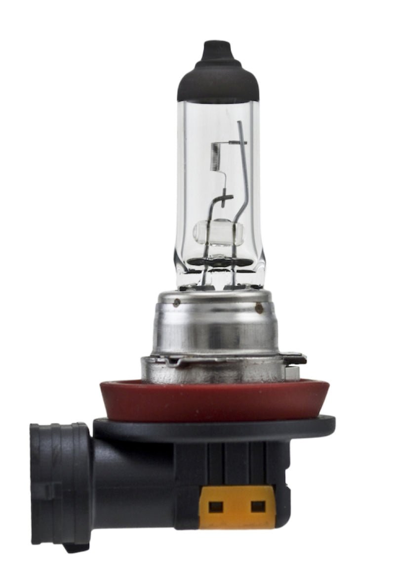Hella - Hella Bulb H8 12V 35W Pgj191 T4 Sb - Demon Performance