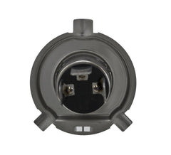 Hella - Hella Optilux H4 100/80W Xenon White XB Kit (Pair) - Demon Performance