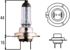 Hella - Hella Optilux H7 100W XB Extreme Blue Bulbs (Pair) - Demon Performance