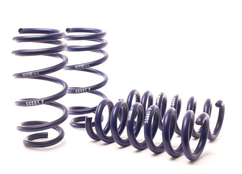 H&R - H&R 11-14 Dodge Charger RT (AWD) Max/Plus V8 Sport Spring - Demon Performance