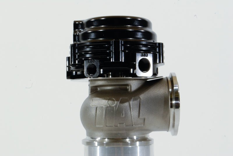 TiALSport - TiAL Sport MVS Wastegate (All Springs) w/Clamps - Black - Demon Performance