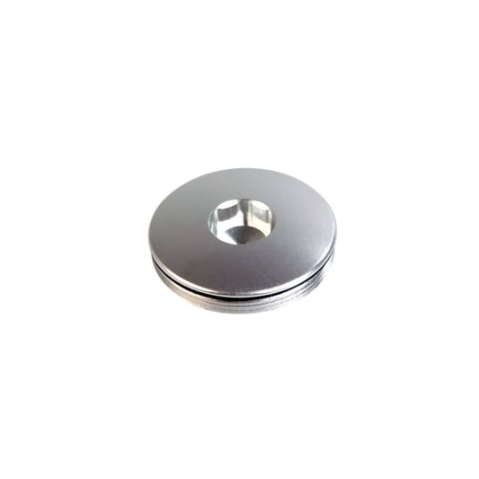 Turbosmart - Turbosmart BOV Port Blanking Plug - Demon Performance