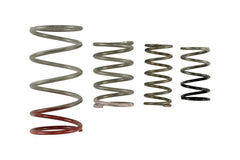 Turbosmart - Turbosmart Gen V IWG Spring Replacement Kit - Demon Performance