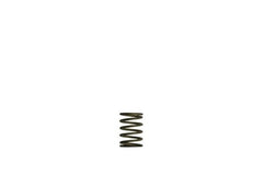 Turbosmart - Turbosmart Gen - V WG38/40 3psi Black Inner Spring - Demon Performance