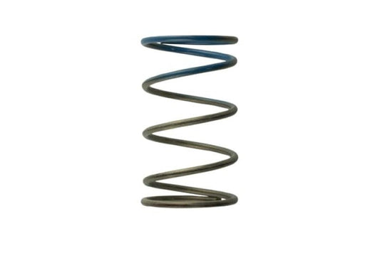 Turbosmart - Turbosmart WG40 10PSI Outer Spring Brown/Blue - Demon Performance