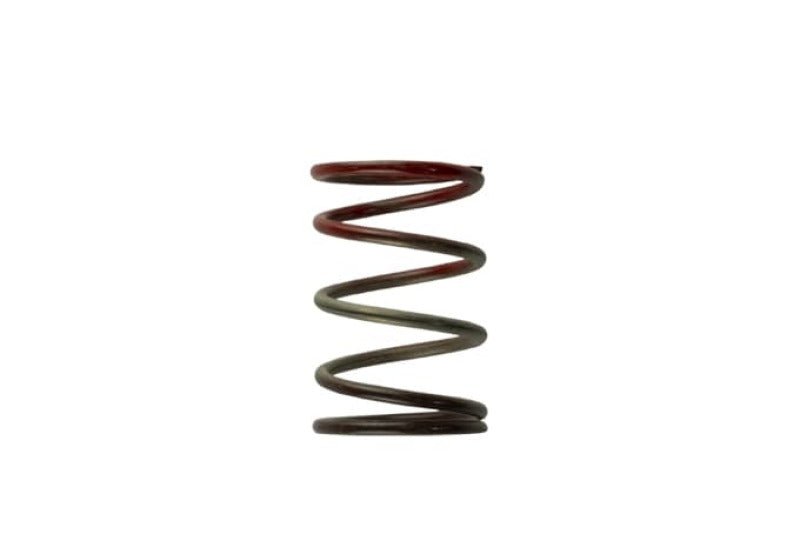 Turbosmart - Turbosmart WG40 11PSI Middle Spring Brown/Red - Demon Performance